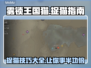 雾锁王国猫在哪？抓住它！🎮🐾