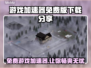免费游戏加速器下载🔗，玩转全球游戏⚡