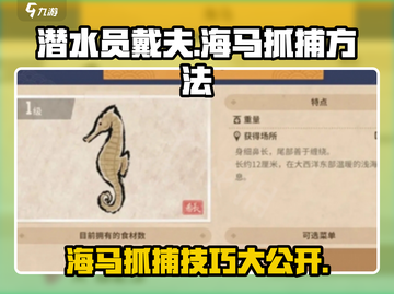 潜水员戴夫海马抓捕技巧大公开！Sea Horse👇截图1