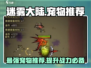 迷雾大陆🔥宠物推荐，带它称霸大陆！