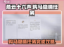 燕云十六声🤩购马隐情任务超简单完成攻略