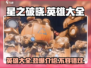🔥星之破晓：全英雄大全与详细介绍来啦！⭐