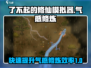了不起的修仙模拟器🔥气感修炼攻略大公开！