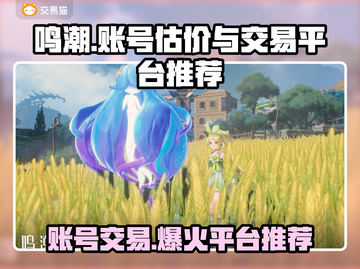 鸣潮号估价秘籍🔥账号交易平台推荐🎮截图1