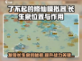 了不起的修仙模拟器😎长生泉位置曝光！延年益寿全靠它🔥