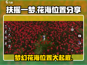 《扶摇一梦》花海位置大起底！🔥速来打卡游戏最美秘境🌸截图1