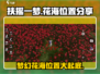 《扶摇一梦》花海位置大起底！🔥速来打卡游戏最美秘境🌸