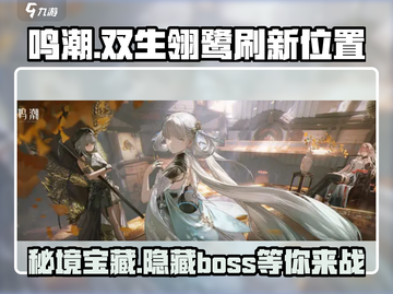 鸣潮⚡双生翎鹭打法位置分享🎉截图1
