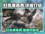 归龙潮斋西🔥游戏秘境探险全解析！🎮
