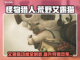 怪物猎人：荒野艾露猫🔥超全介绍来啦！截图1