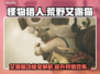 怪物猎人：荒野艾露猫🔥超全介绍来啦！