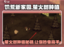 饥荒新家园🔥萤火树种植技巧大公开！💡