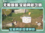 无限暖暖💥宝箱固定刷新位置大揭秘！🔥