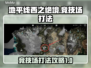 地平线西之绝境🔥竞技场打法攻略🌟