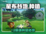 【星布谷地】种出金库💰暴富秘籍