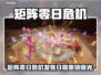 《矩阵零日危机》定档曝光！🎮🔥