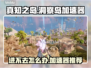 真知之岛进不去？洞察岛加速器推荐💥🎮
