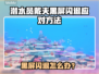🎮潜水员戴夫黑屏闪退？一招解决！💥