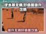 逆水寒🔥无情好感度快速提升攻略来啦！