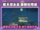 潜水员戴夫睡眠枪🔥超全用途大揭秘！🎮截图1