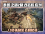 🎮泰坦之旅2延迟丢包？速看解决妙招！