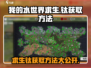 我的水世界求生钛获取攻略💎玩转游戏必备！