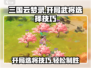 三国云梦录开局必看！🔥武将选择全攻略🎉