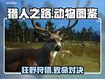 《猎人之路》全动物图鉴大揭秘！🦌🔥截图1