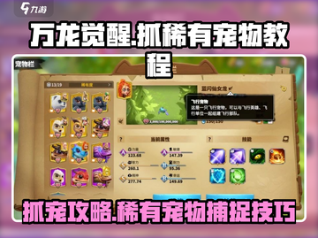 万龙觉醒💥抓稀有宠物超全教程来啦！펫截图1