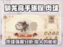 🔥驯龙高手旅程：肉球强度分析💡陪你征服天空！