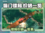 喵门镖局价格曝光！🔥阴阳师玩家必看💰