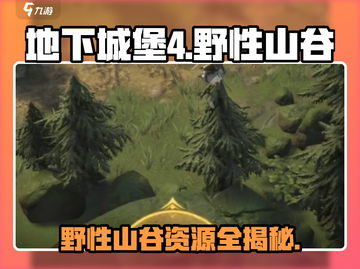 《地下城堡4》野性山谷攻略🔥稀有资源全收集✨截图1