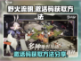 野火流明🎉激活码获取攻略，玩家必看！