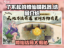 了不起的修仙模拟器🎉结局大揭秘！多种结局等你来探索🔥