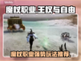《王权与自由》🔥魔杖职业技能全面解析✨