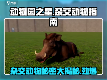 动物园之星💥杂交动物大揭秘！ Animals Crossing🔥截图1