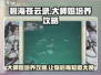 碧海苍云录大师姐培养🔥超详细攻略分享！🎮