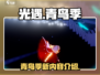 光遇🎉青鸟季来了！全新内容抢先看🔥