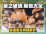 🔥星之破晓：全英雄大全与深度解析来啦！⭐