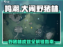 鸣潮🔥大闹野猪林成就超简单做法来了！
