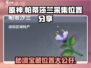 原神🔥帕蒂莎兰采集位置全攻略✨