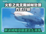 火炬之光无限掉帧？这样解决立马流畅🔥🎉