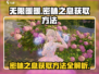 无限暖暖🔥密林之息获取全攻略💎