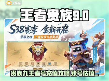 🎮王者贵族9充值攻略！账号估值全解析截图1