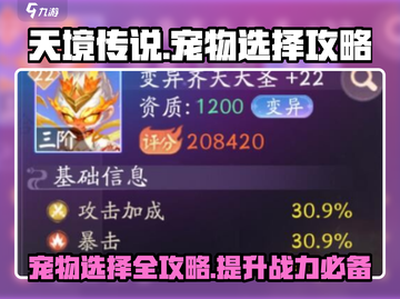天境传说🔥宠物选择全攻略！💎新手必看宠物推荐✨截图1