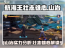 航海王壮志雄心🔥山治详细介绍来啦！