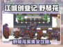 《江城创业记》野琴花采集攻略🔥速拿稀有材料🌸