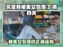 《完蛋我被美女包围了》第四关🔥通关秘籍来了！