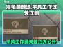 海龟蘑菇汤平凡工作通关秘籍🔥游戏技巧大公开！