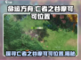 命运方舟🔥亡者之谷摩可可精准位置⚡必看攻略！